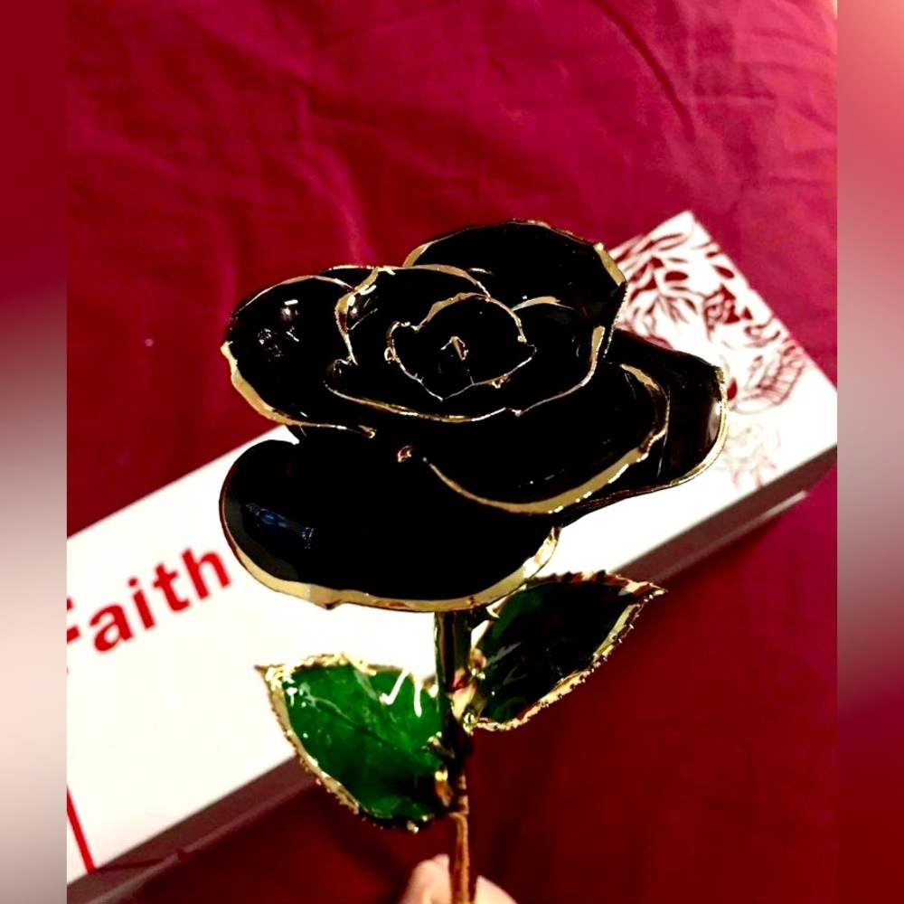 Everlasting black rose